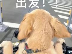 -N多寿司(融创茂负一楼店)