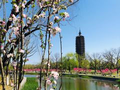 -西海子公园