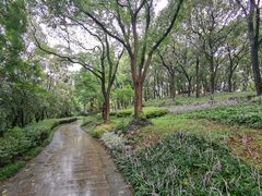 -上海市保健医疗中心