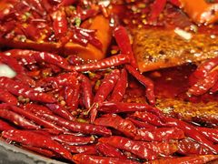 -蜀大侠火锅(总府路店)