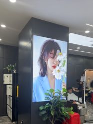 -藤野造型烫染