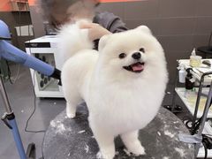 -宠宠熊宠物美容(星湖街店)