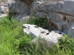 -锦屏山旅游度假区