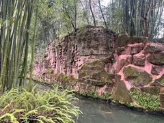 -眉山湿地公园(东坡区)