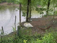 -宁波杭州湾国家湿地公园