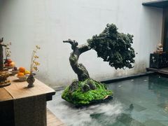 -觀芷隐轩