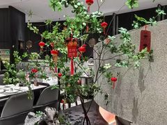 -新兴·金羊座·粤菜点心(乐峰店)