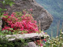 -木兰云雾山