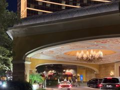 -拉斯维加斯永利酒店