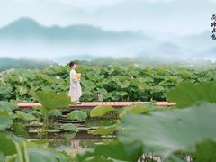 -嘉北郊野公园