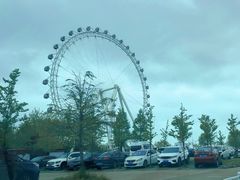 -日照海滨国家森林公园