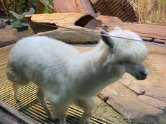 -苏州海洋馆