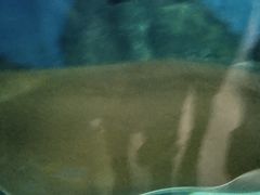 -苏州海洋馆