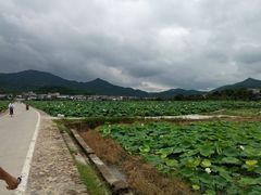 android_upload_pic-古田会议纪念馆