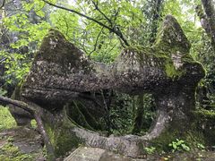 -山王坪喀斯特国家生态公园