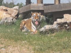 -鄂尔多斯野生动物园