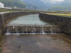 -泽雅景区