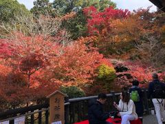 -醍醐寺