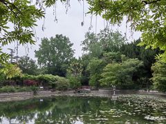 -嘉定紫藤园