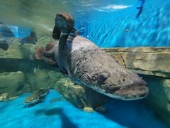 -石林冰雪海洋世界