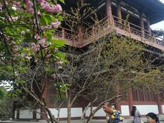 -西安青龙寺遗址景区