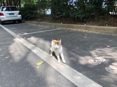 -上海幻维数码创意科技有限公司