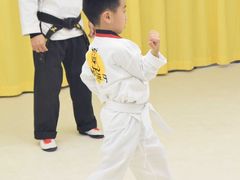 -勇气斑马·巴西柔术&跆拳道(浦东三林店)