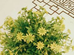 -全聚德烤鸭店(和平路店)