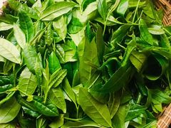 -东天目山风景区