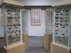 -陕西自然博物馆