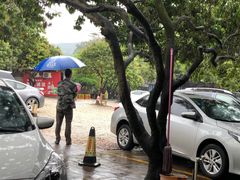 -满記土窑烧鷄波浪山莊