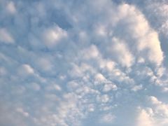 -悦城龙母祖庙