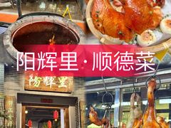 -凯盈阁·顺德私房菜·桑拿鸡