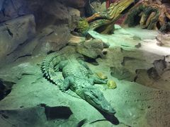-沙沙哗啦海洋馆(华宇百花谷店)