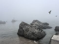 -黑石礁公园