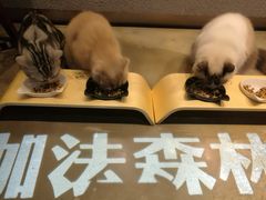 -咖法森林·咖啡  酒吧(天河店)