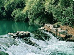 -杭州植物园