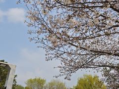 -闵行文化公园-停车场