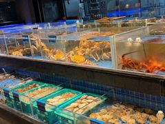 -青蓬蒸汽海鲜·深圳老字号·团建聚会(壹方城店)