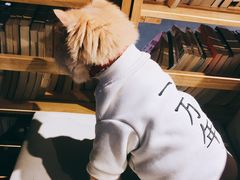 -小时光咖啡馆(开森度假森林店)