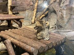 -波塞冬海底世界