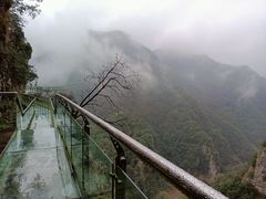 -水墨汀溪风景区