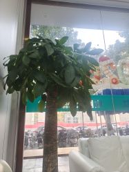 -痘院士专业祛痘皮肤管理