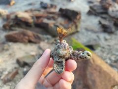 -三亚西岛海洋文化旅游区