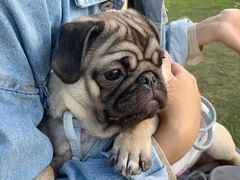 -艾溪湖湿地公园