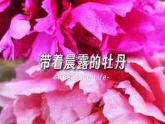 -郑州植物园