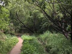 -白水寺森林公园
