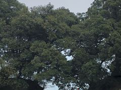 -窦圌山风景区