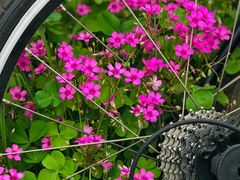 -白鹭湾湿地公园