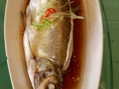 -锦江中华村农家乐饭庄